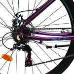 Bicicleta Sherwood Dama R26-21V Dis.alum.13.5 Bco-Cel-Vde